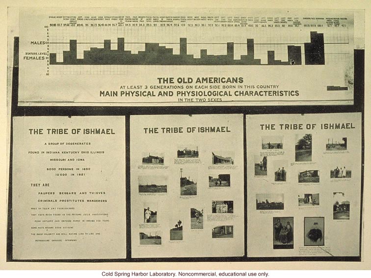 &quote;The Old Americans, main physical and physiological characteristics of the Tribe of Ishmael&quote;