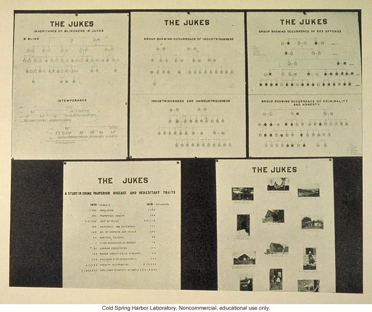 &quote;The Jukes,&quote; Fig. 44