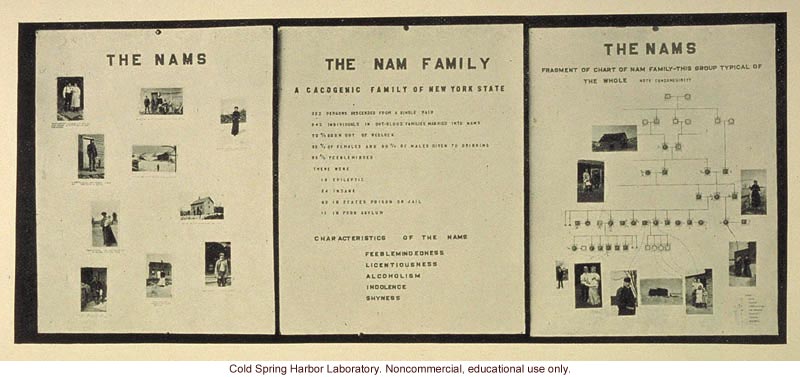 &quote;The Nam family,&quote; Fig. 45