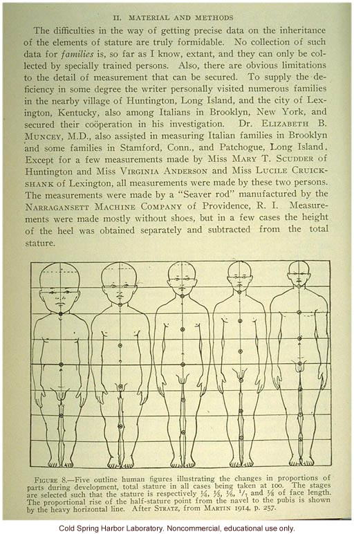 Data and outline of human figure during development