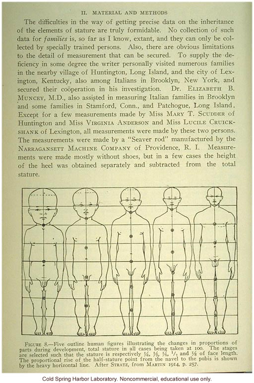 Data and outline of human figure during development