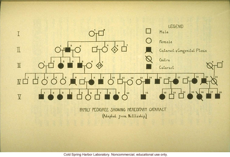&quote;Family pedigree showing hereditary cataract&quote;