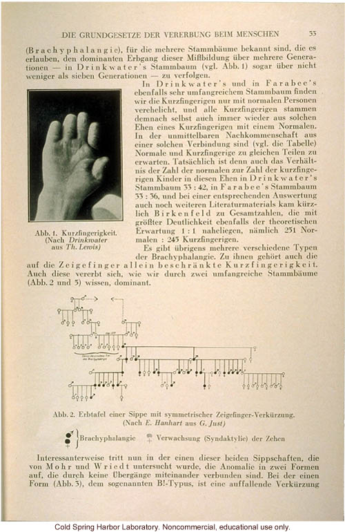 Eugenik: Erblehre, erbpflege (Eugenics: Hereditary teaching, preservation), October 1930