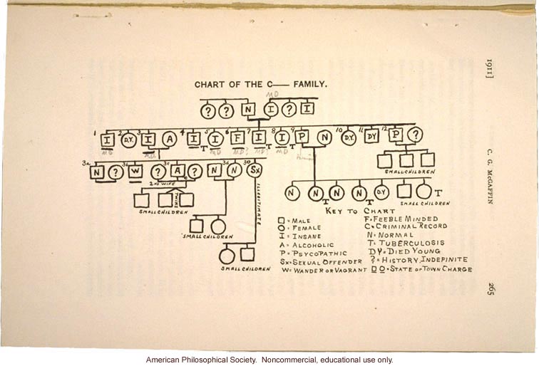 &quote;Chart of the C____ Family,&quote; insanity and manic depression pedigree