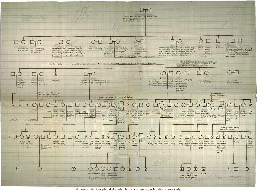 Pedigree of the tribe of Ishmael