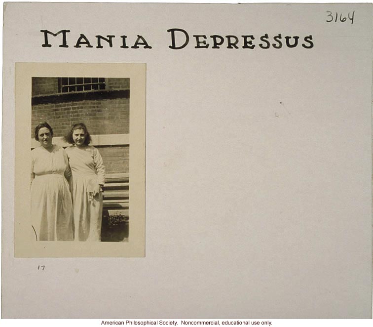 &quote;Mania depressus,&quote; flash card on genetic defects