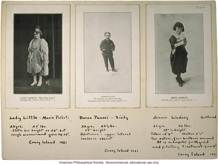 Three midgets, with notes, circus acts