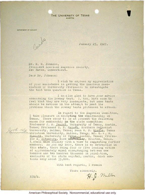 H. Muller letter to R. Johnson accepting Texas chairmanship of American Eugenics Society