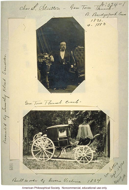 Tom Thumb and coach, which Timothy Fleet Scudder sold to the president of Dreamland Circus &quote;for a fair price.&quote;