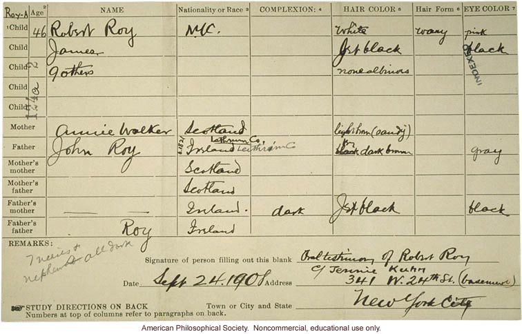 Roy Family pedigree, about albinism