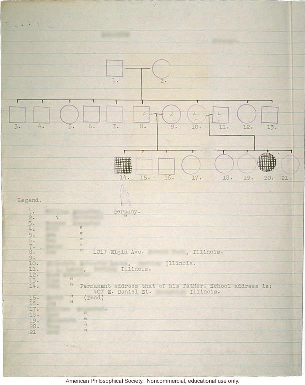 Pedigree and photo of polydactyly, by Morris Steggerda