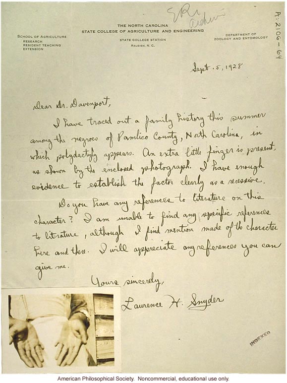 L. Snyder letter to C. Davenport, about polydactyly