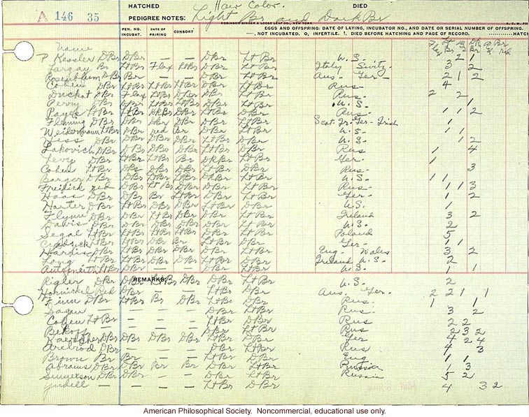 Hair color, light brown and dark brown