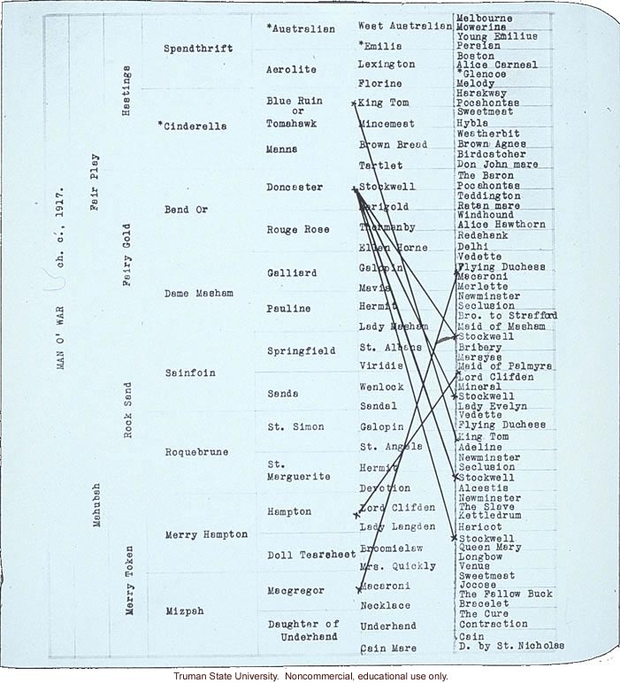 Pedigree of Man O' War, about horse genetics