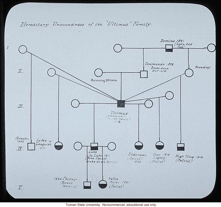 &quote;Hereditary unsoundness of the Ultimus family,&quote; about horse genetics
