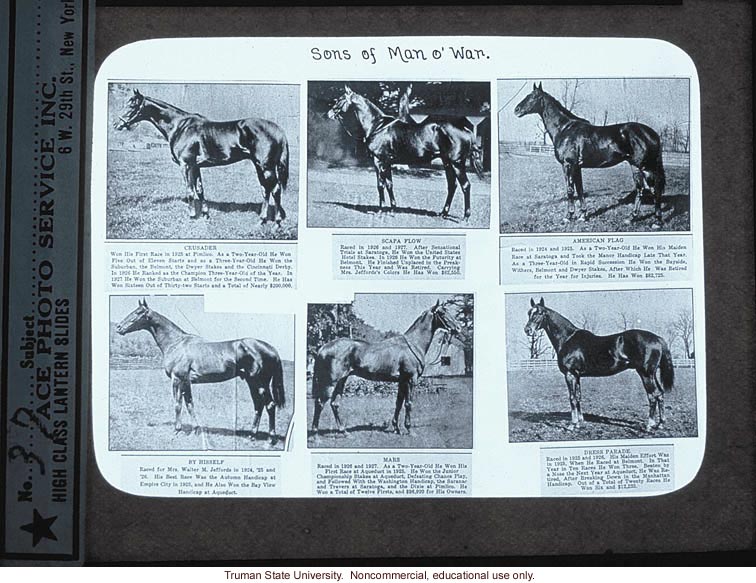 &quote;Sons of Man O' War,&quote; about Horse Genetics
