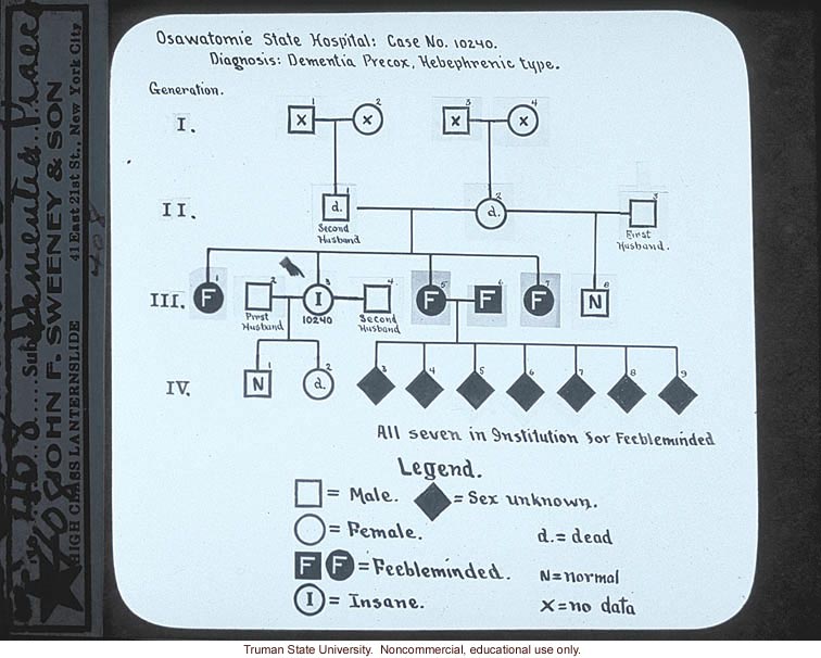 Pedigree: &quote;Osawatomie State Hospital: case no. 10240.  Diagnosis: dementia precox, hebephrenic type&quote;