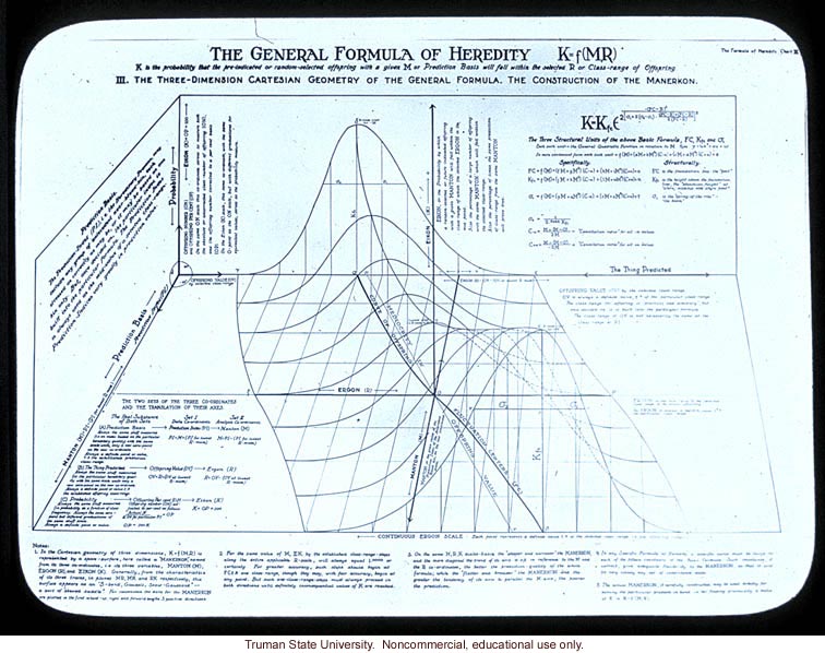 &quote;The general formula of heredity&quote;