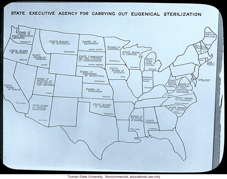 &quote;State executive agency for carrying out eugenical sterilization&quote;