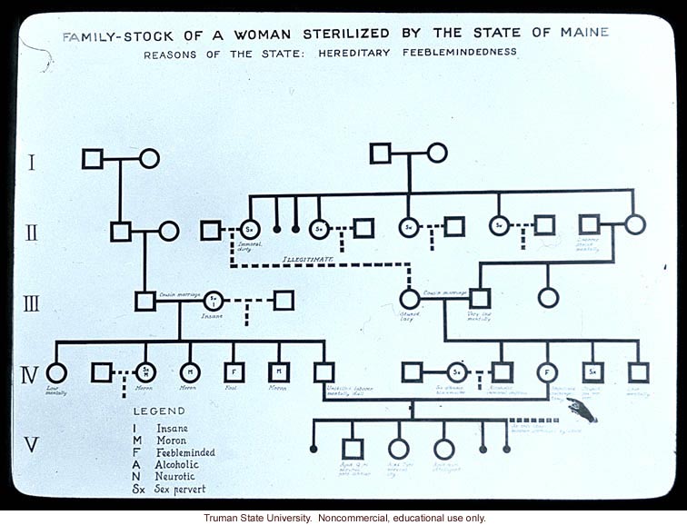 &quote;Family-stock of a woman sterilized by the state of Maine&quote;