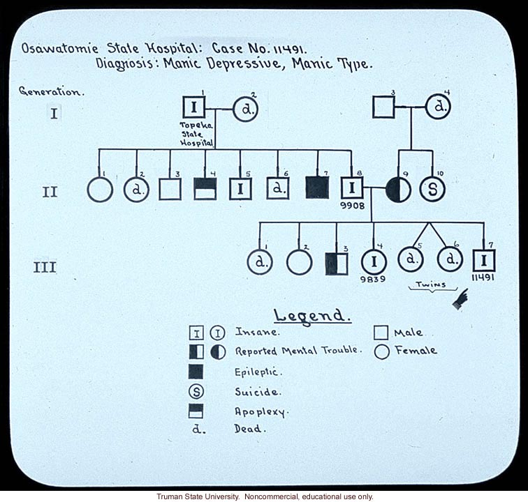 Pedigree:&quote; Osawatomie State Hospital: case no. 11491. Diagnosis: manic depressive, manic type&quote;