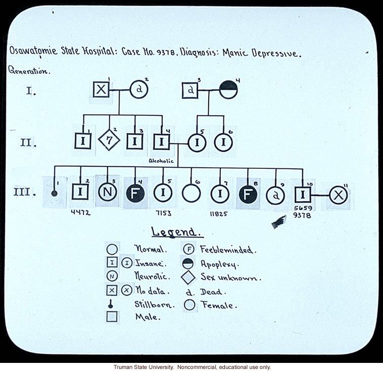 Pedigree:&quote; Osawatomie State Hospital: case no. 9378. Diagnosis: manic depressive&quote;