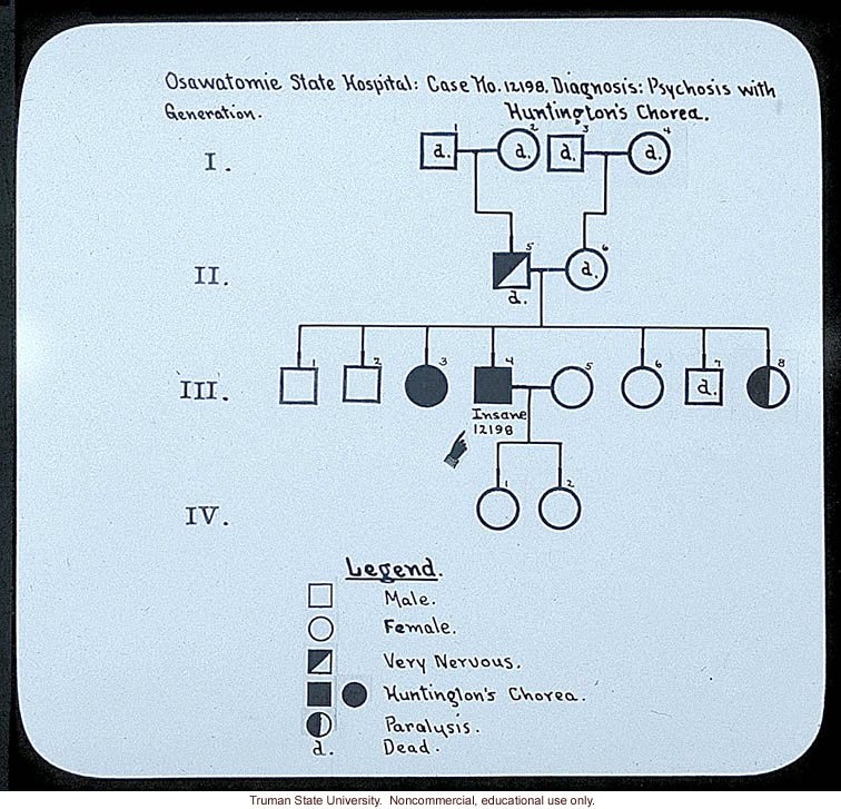 &quote; Osawatomie State Hospital: case no. 12198. Diagnosis: psychosis with Huntington's chorea&quote;