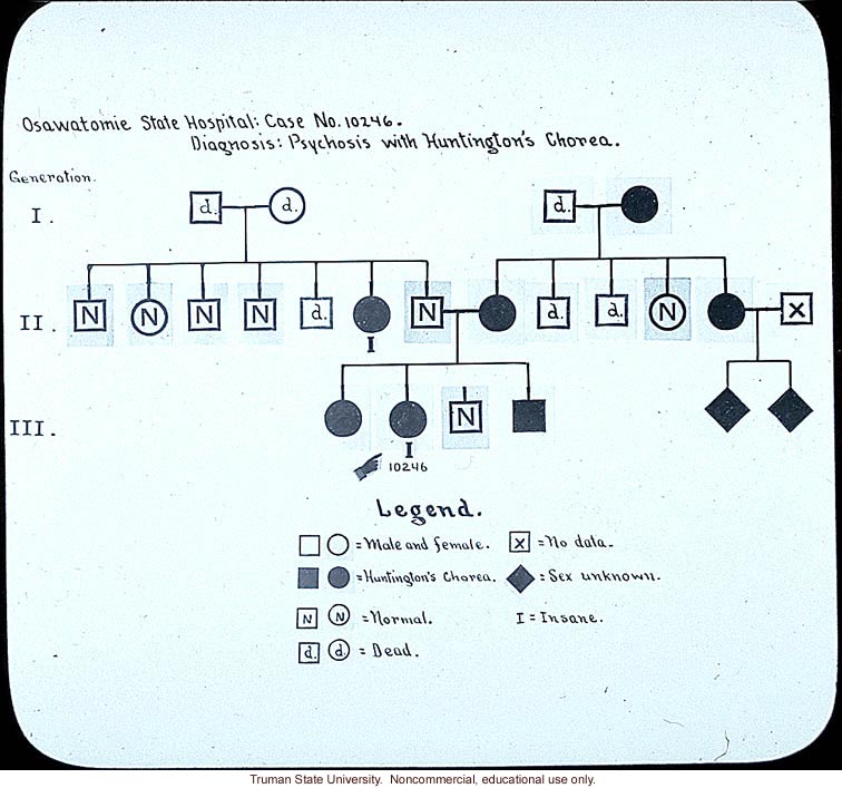 Pedigree:&quote; Osawatomie State Hospital: case no. 10246. Diagnosis: psychosis with Huntington's chorea&quote;