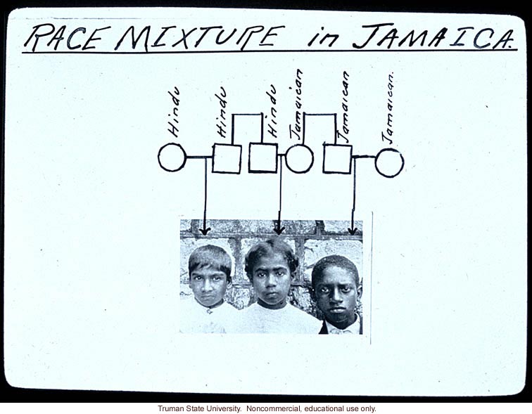 &quote;Race mixture in Jamaica&quote;