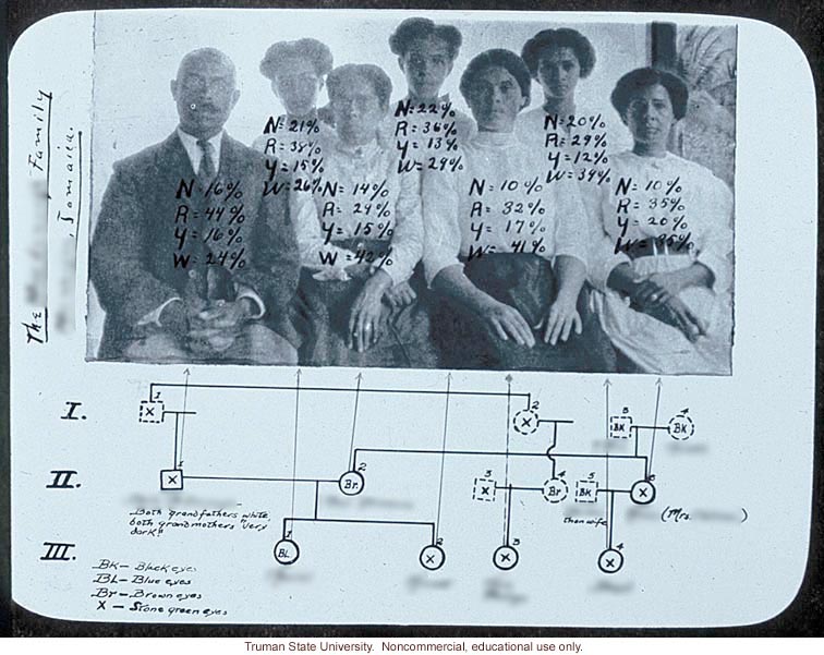 Pedigree of race mixing from Monacque, Jamaica