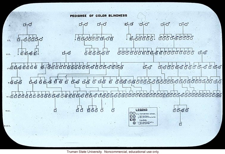 &quote;Pedigree of color blindness&quote;